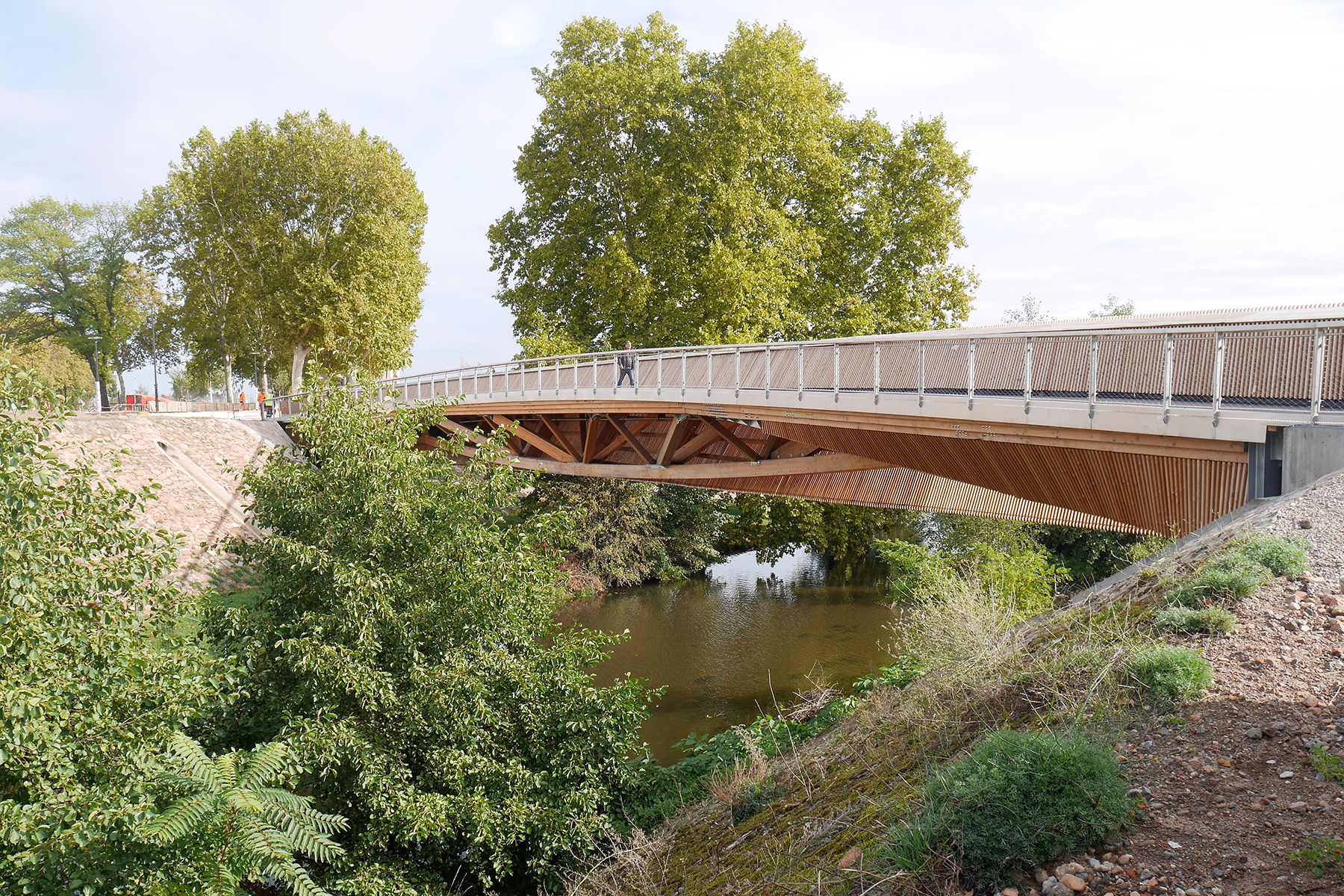 Arborescence Passerelle Renaison