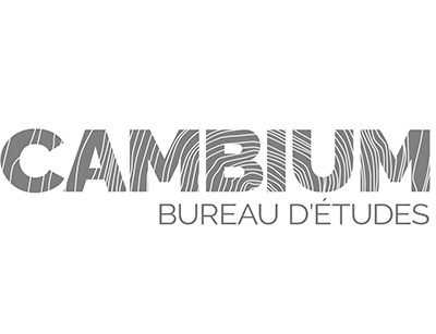 CAMBIUM
