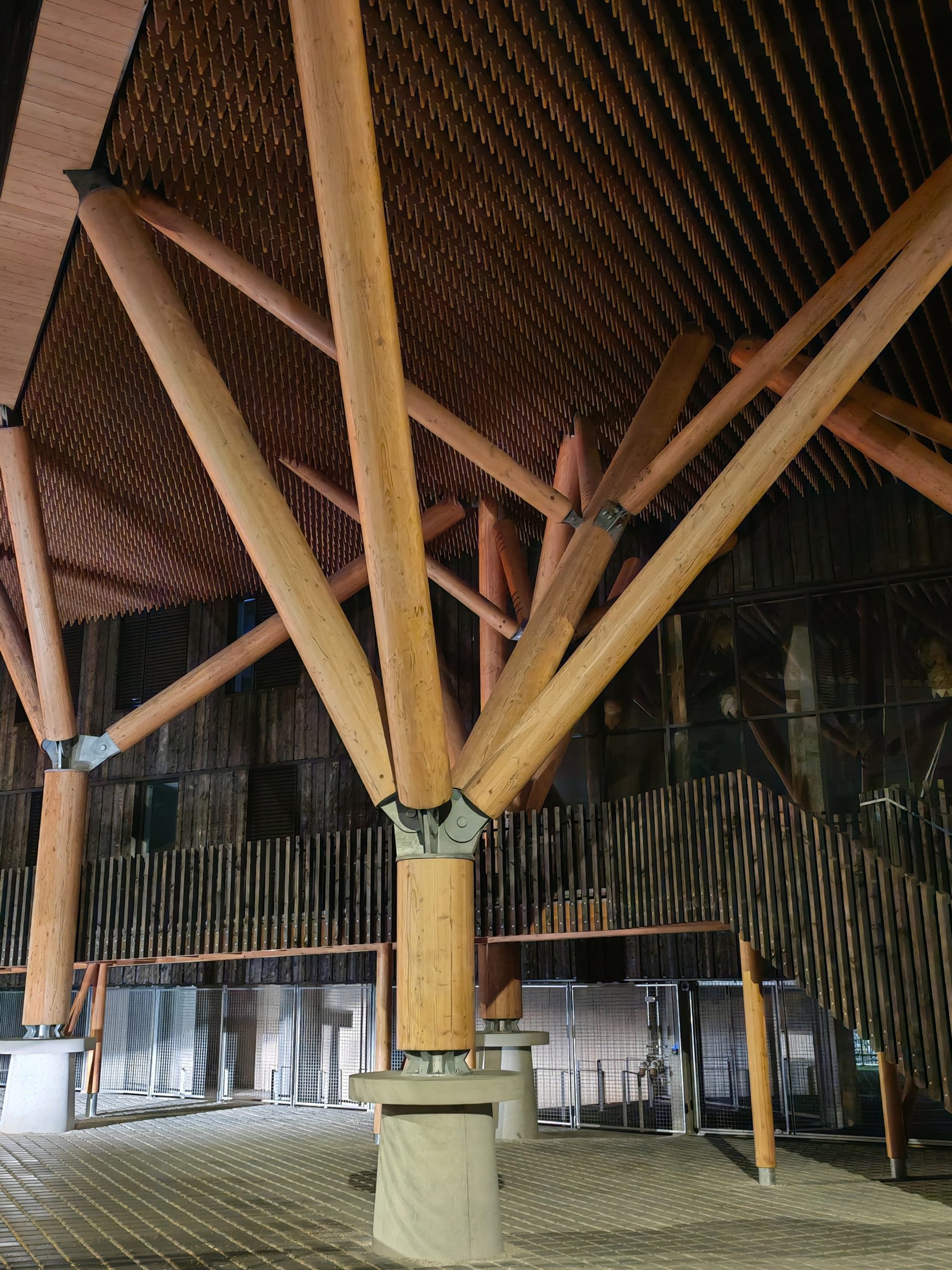 Domaine de compétence : structure courante